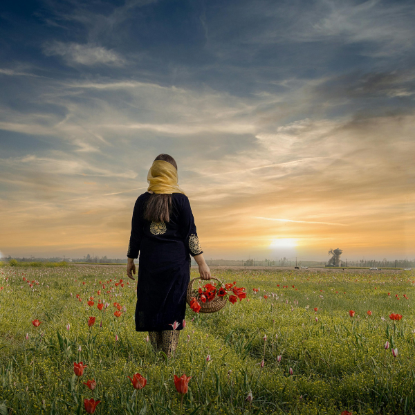 4N/5D<br> (Srinagar→Gulmarg→Pahalgam)