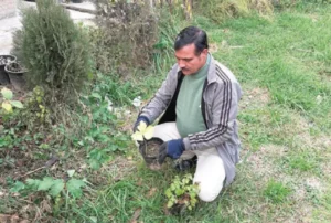 Herbal Man of Kashmir turns Achabal into a living pharmacy